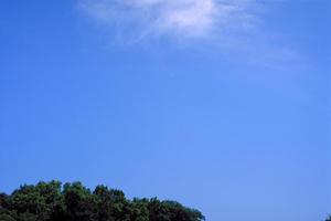 静岡市の家族葬・一般葬に対応する富士葬祭 材木町の葬儀サービスと特徴