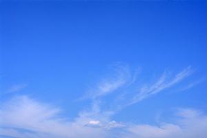 403 Forbiddenエラーについて理解と対策ガイド