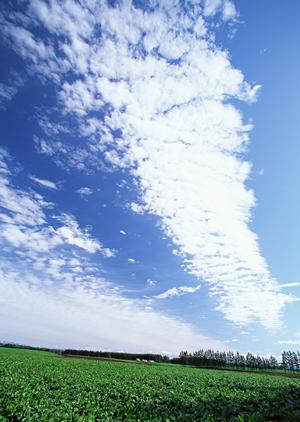 江戸川区で永代供養の納骨堂もある妙泉寺