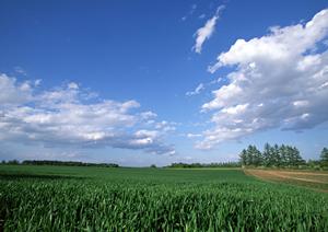 費用も見積もりができる便利なサイトです