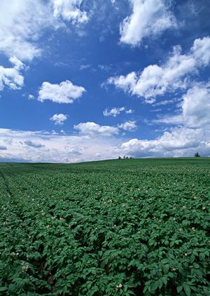 静岡県浜松市中央区にある家族葬のタクセル天王|安心価格と充実の設備で心温まる葬儀をサポート