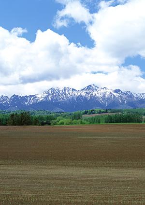 散骨を行ってくれる業者の費用など