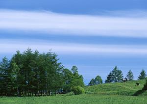 【静岡県島田市】富士葬祭島田?家族葬・一日葬対応の安心の葬儀場情報と特徴