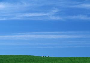 徳島で葬儀をするならベルベ玉鳳院