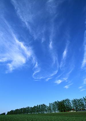 静岡県藤枝市の家族葬・火葬式に最適!【家族葬のタクセル岡出山】の魅力と詳細情報
