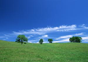 散骨の種類と法律規制マナーとは