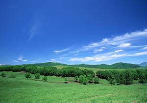 静岡市駿河区の家族葬・一日葬に最適な葬儀場|富士葬祭 みずほの特徴と店舗情報