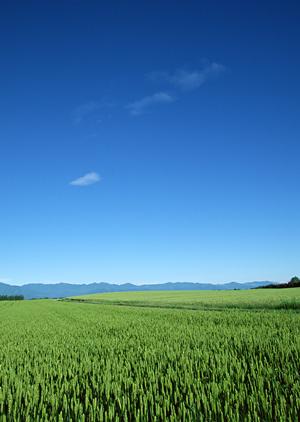 静岡市の家族葬・一般葬に対応した富士葬祭瀬名の葬儀サービスと特徴の徹底解説
