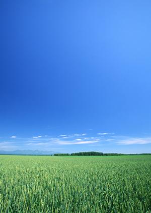 静岡県焼津市の家族葬専用斎場「家族葬のタクセル東小川」:安心・低価格の家族葬サービスの詳細と特徴