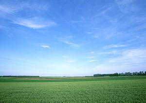 静岡県浜松市中央区に新規オープン!家族葬のタクセル有玉南町|安心・低価格な家族葬専門斎場