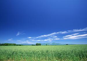 【公式】家族葬のタクセル雀宮|栃木県宇都宮市の信頼できる葬儀場と家族葬ホール