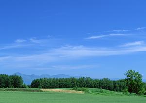 金沢終活をするときに役立つサイト