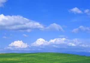 仏事以外でも相談に乗ってくれる寺院