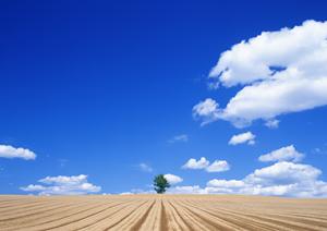 栃木県日光市の信頼と実績を誇る葬儀場「さがみ典礼 日光」:安心の葬儀サービスと施設紹介