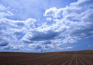 安心して任せられる家族葬プランの選び方と川越市でのスムーズな対応方法