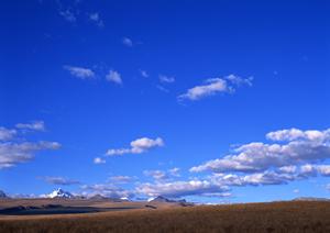 群馬県前橋市の荒砥川沿いにある應昌寺