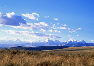 静岡県焼津市の家族葬・葬儀専門【家族葬のタクセル焼津】周辺の火葬場や施設情報も充実