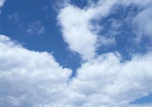 静岡県富士宮市で信頼できる葬儀サービスを提供する「富士葬祭」詳細解説と店舗案内