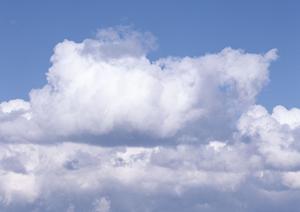 新しい供養のかたちである永代供養