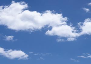 静岡市で低価格・安心の葬儀サービス|家族葬のタクセルの特徴と店舗情報