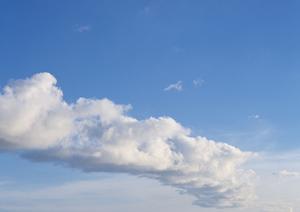 大田区で家族葬を行うことをお考えの方