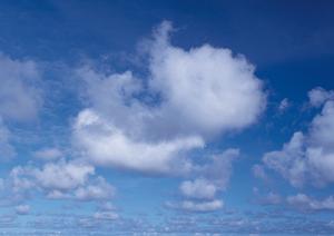 静岡市葵区に新規オープン!家族葬のタクセル長沼?低価格・少人数向けの安心葬儀プランとアクセス便利な斎場