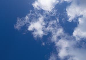 費用面での負担が少ない大阪の墓地