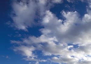 墓地・霊園・納骨堂について