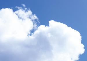 樹木葬は良い点だけでなく注意点も把握