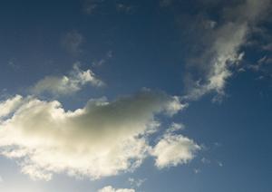 川越で選ばれる葬儀サービスの全貌!安心と信頼のプランガイド