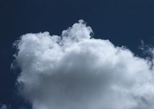 新宿で墓を建てるなら萬亀山東長寺