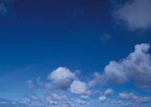 法事の返礼品を注文できるサイト