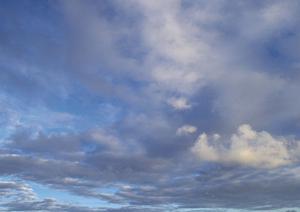 越谷市の安心・信頼の葬儀場【ティア越谷】:家族葬から一般葬まで対応可能な総合葬儀施設の詳細ガイド