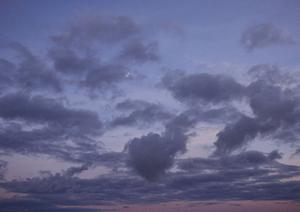 後継者がいなくても責任を持って供養してくれる寺院