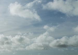 お手頃な価格で依頼できる家族葬