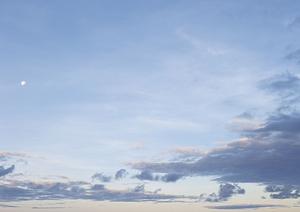 先進的な搬送タイプの浅草のお墓