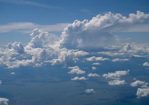 大切なペットの最期のお見送りにおすすめ